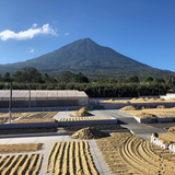 Guatemalan Antigua Hunapu