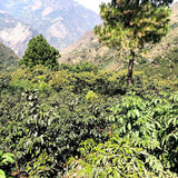 Guatemala Huehuetenango Jolimex